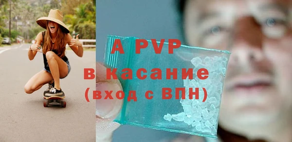 прущие крисы Болохово