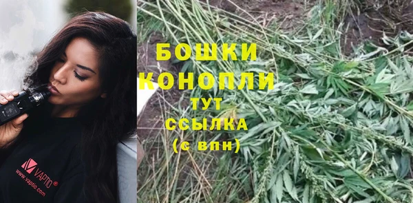 тгк Болхов