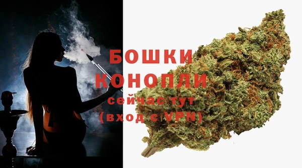 прущие крисы Болохово