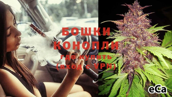 экстази Болотное