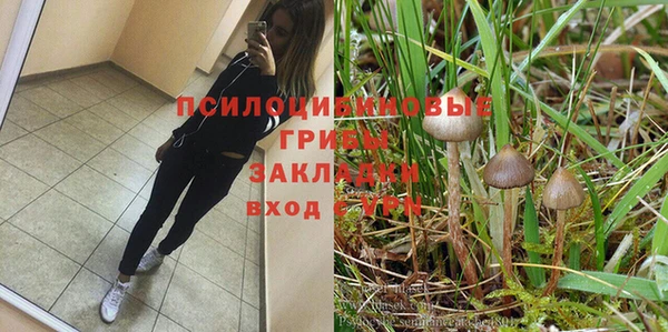 тгк Болхов