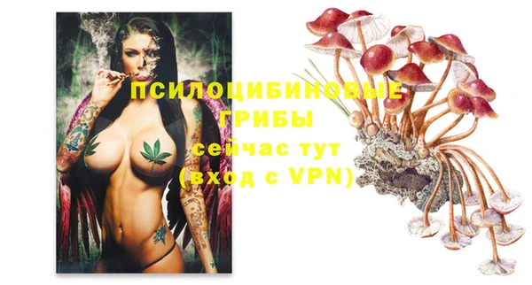 прущие крисы Болохово
