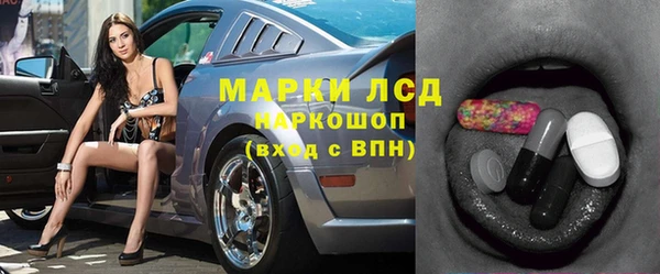 спайс Богданович