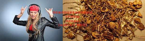экстази Болотное