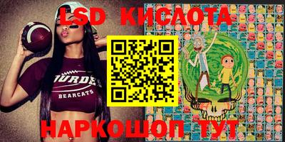 стафф Гагарин