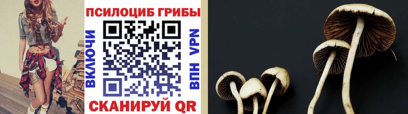Галлюциногенные грибы ЛСД  Джанкой 