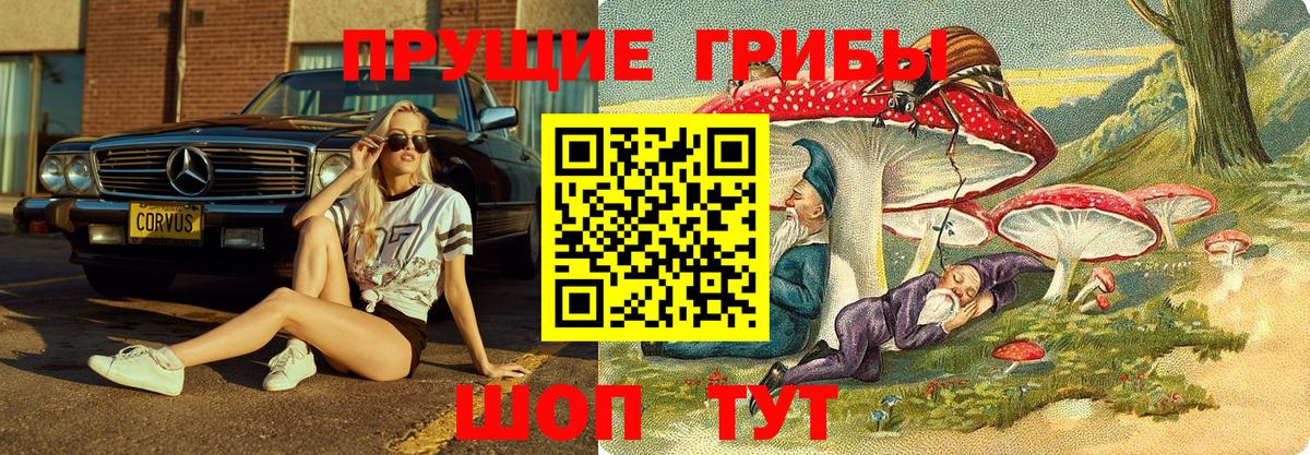 Галлюциногенные грибы Cubensis  купить наркотики сайты  Джанкой 